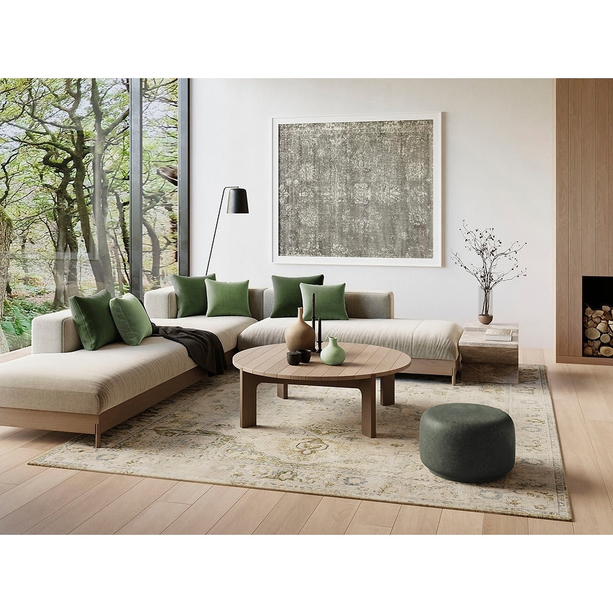 Nourison Astra Machine Washable Distressed Area Rug