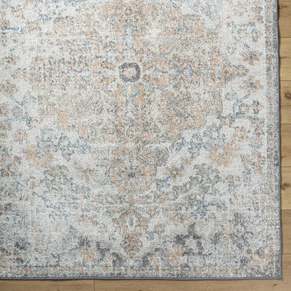 Livabliss Caressa Vintage Boho Area Rug
