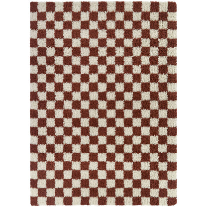 Mackie Checkered Shag Area Rug