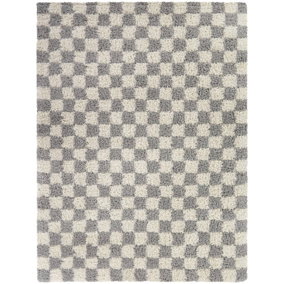 Mackie Checkered Shag Area Rug