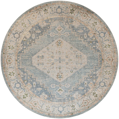 Nourison Abby Machine Washable Indoor only Persian Distressed Area Rug