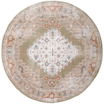 Nourison Abby Machine Washable Indoor only Persian Distressed Area Rug