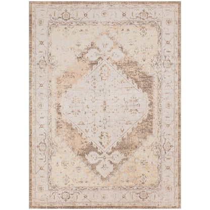 Nourison Abby Machine Washable Indoor only Persian Distressed Area Rug