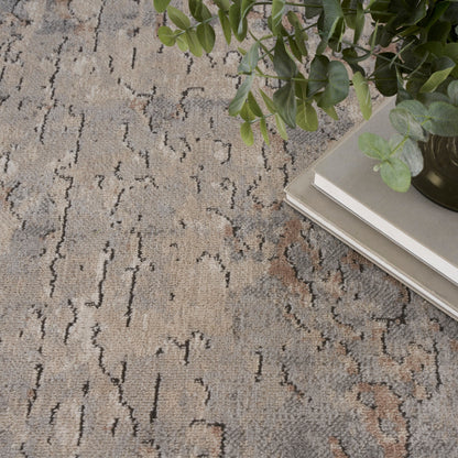 Nourison Concerto Distressed Abstract Beige Grey Area Rug