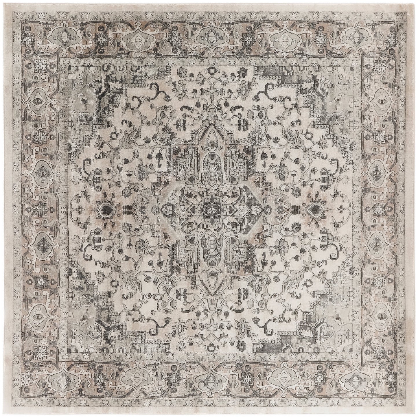 Nourison Concerto Classic Persian Medallion Area Rug.