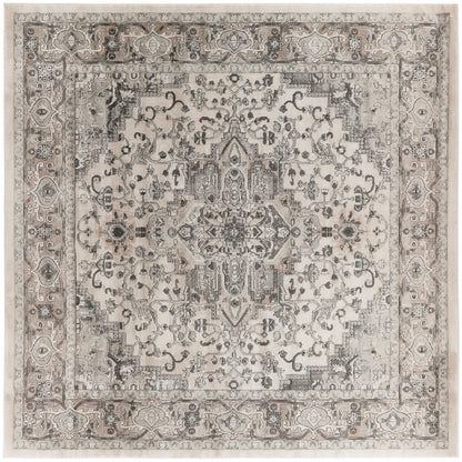 Nourison Concerto Classic Persian Medallion Area Rug.